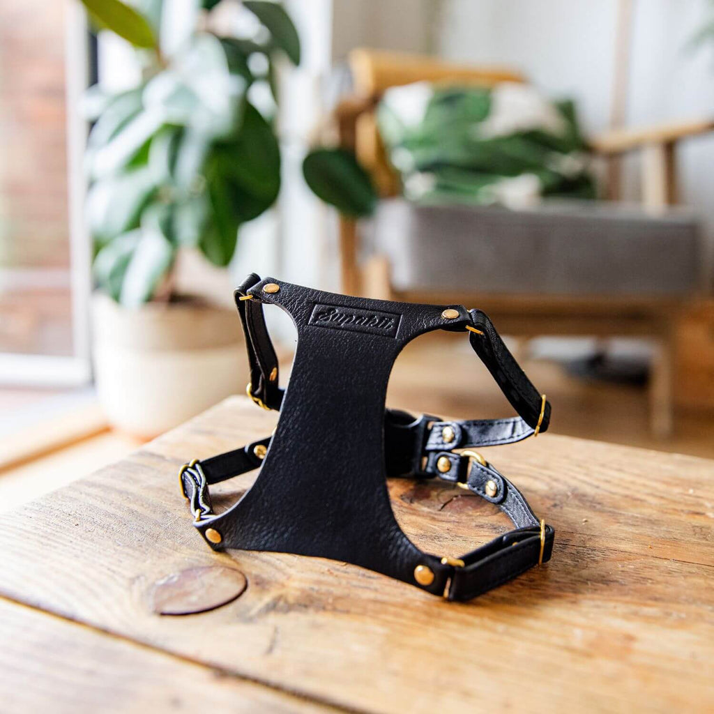Leather Cat Harness – Black