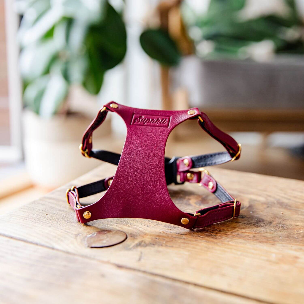 Leather Cat Harness – Burgundy