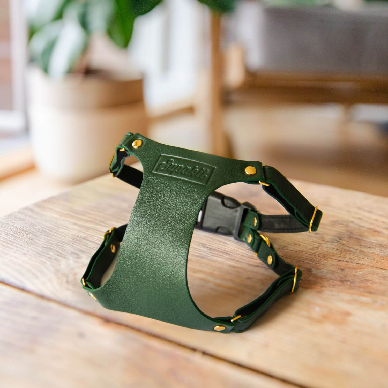 Leather Cat Harness – Emerald Green