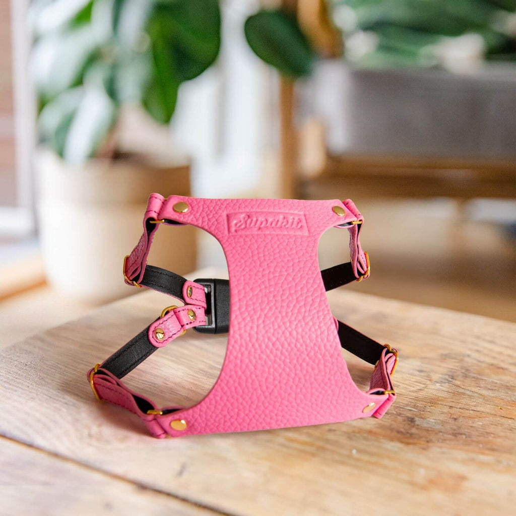 Leather Cat Harness – Rose Pink