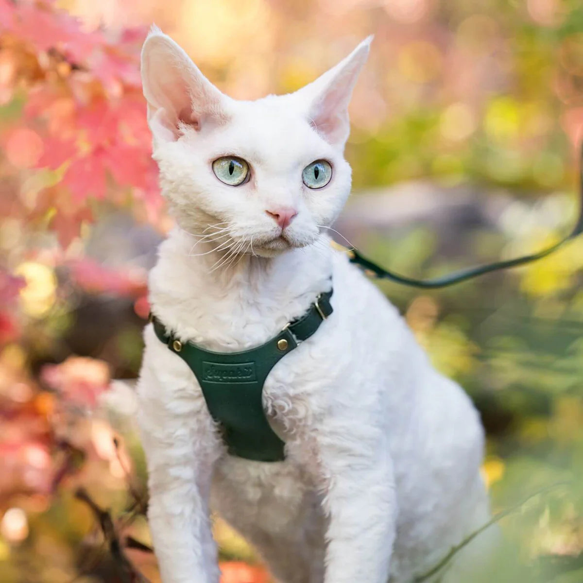 Leather Cat Harness – Emerald Green