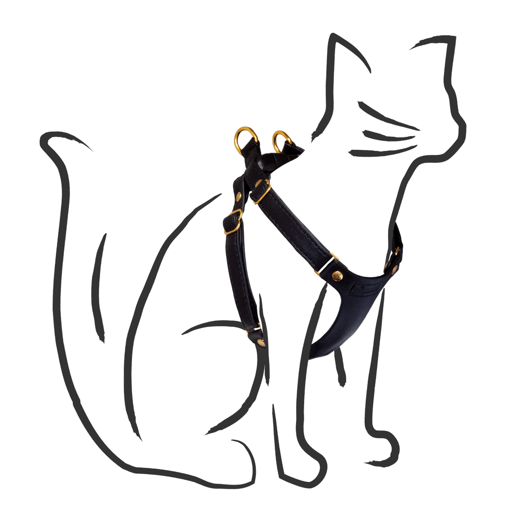 Leather Cat Harness – Black
