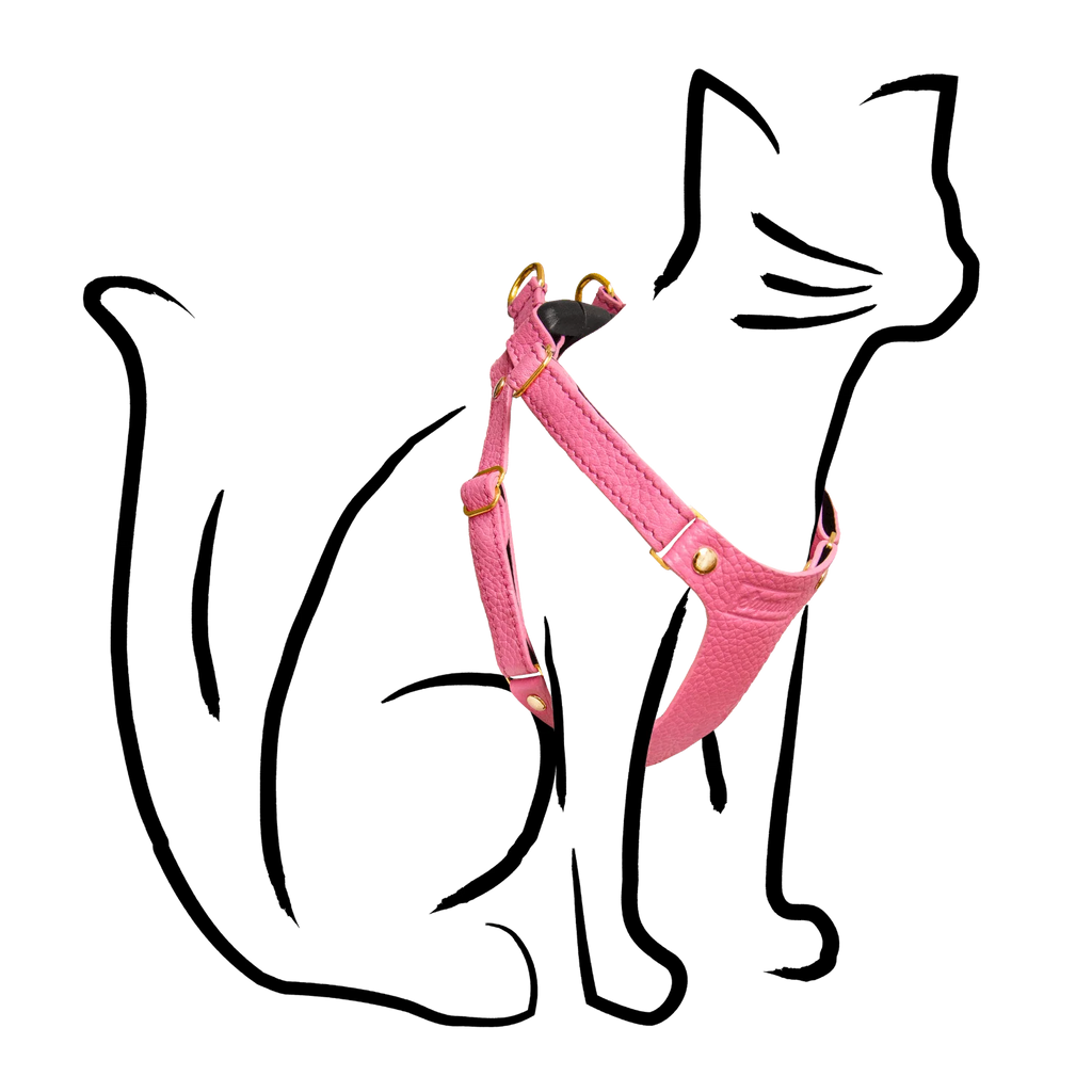 Leather Cat Harness – Rose Pink