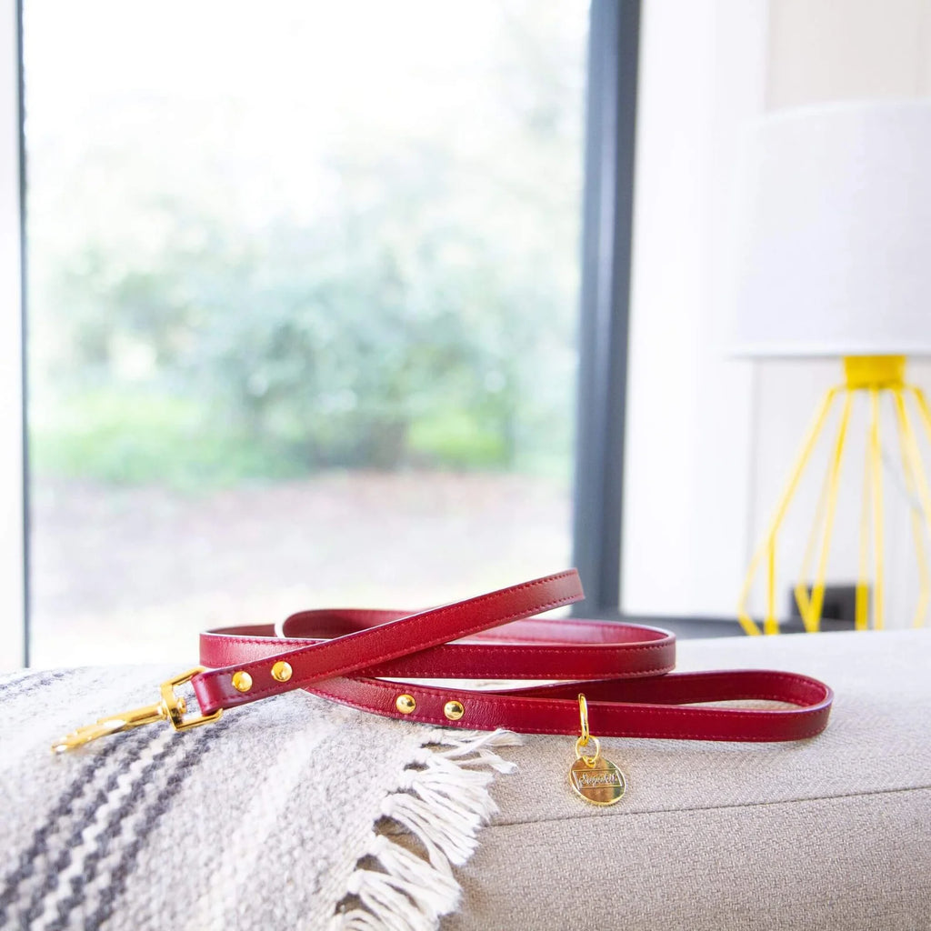 Cat Leash – Strawberry Vegan Cork
