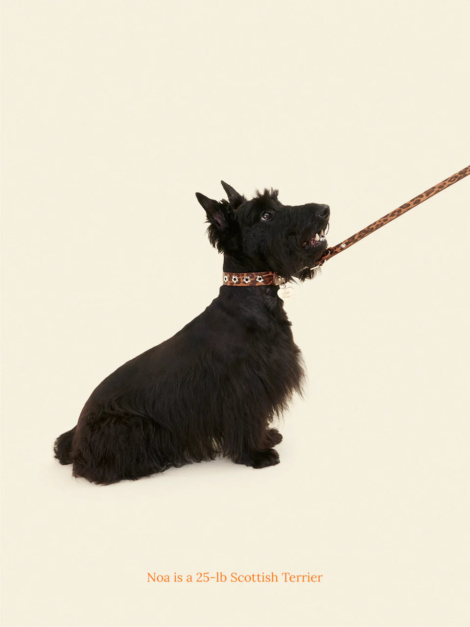Cougar - Flower Power Leash