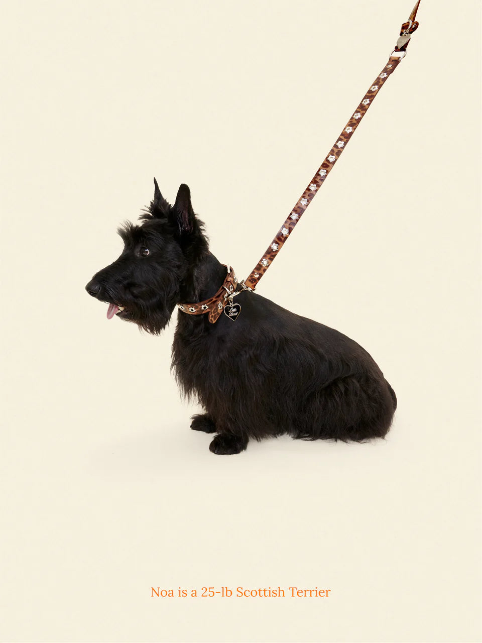 Cougar - Flower Power Leash
