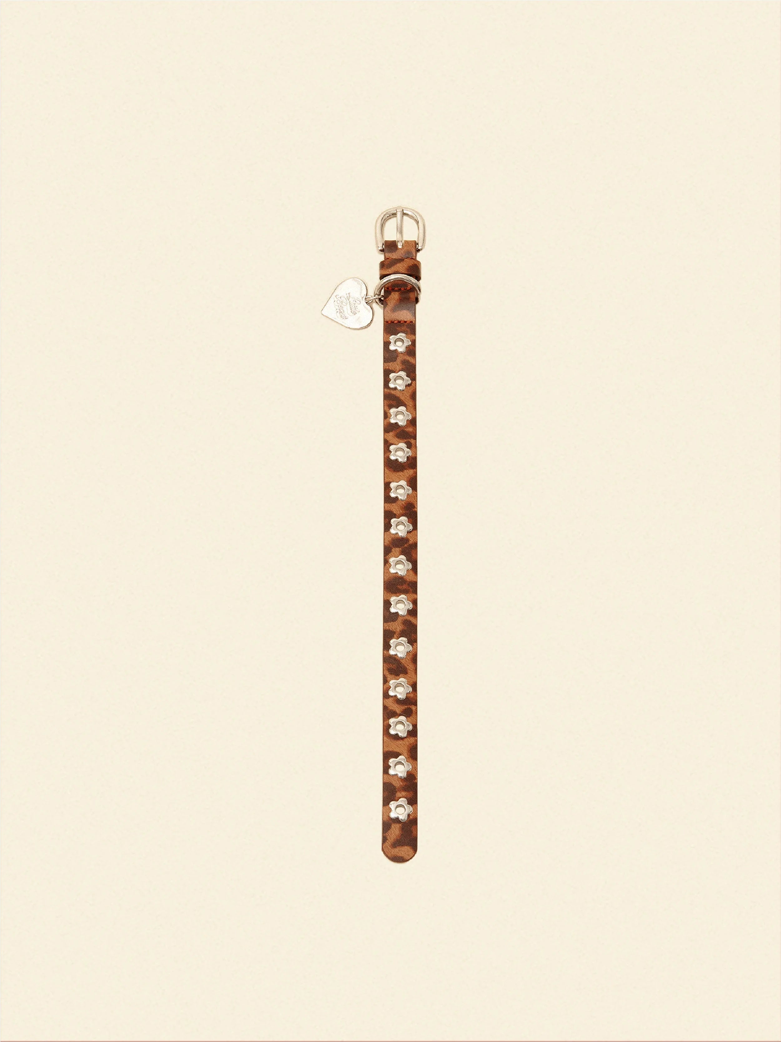 Cougar - Flower Power Collar
